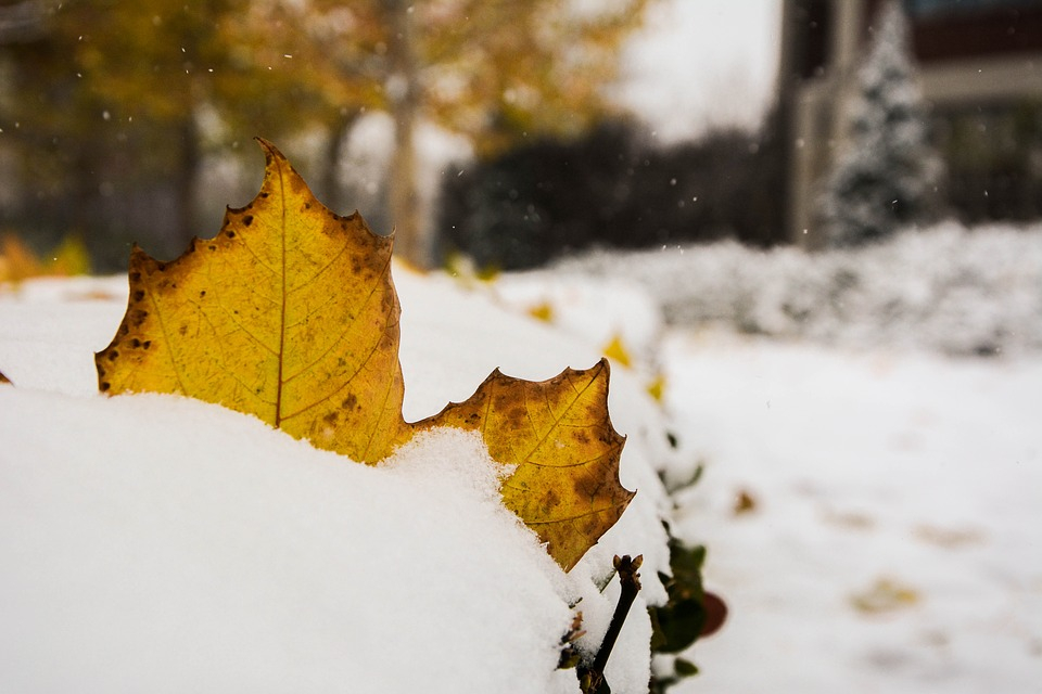 Погода в Сыктывкаре 4 октября: снегопады и холода