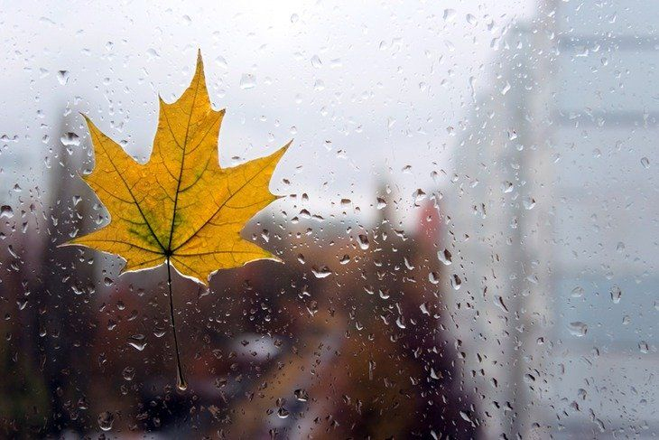 Погода в Сыктывкаре 5 октября: резкое потепление и мгновенное похолодание