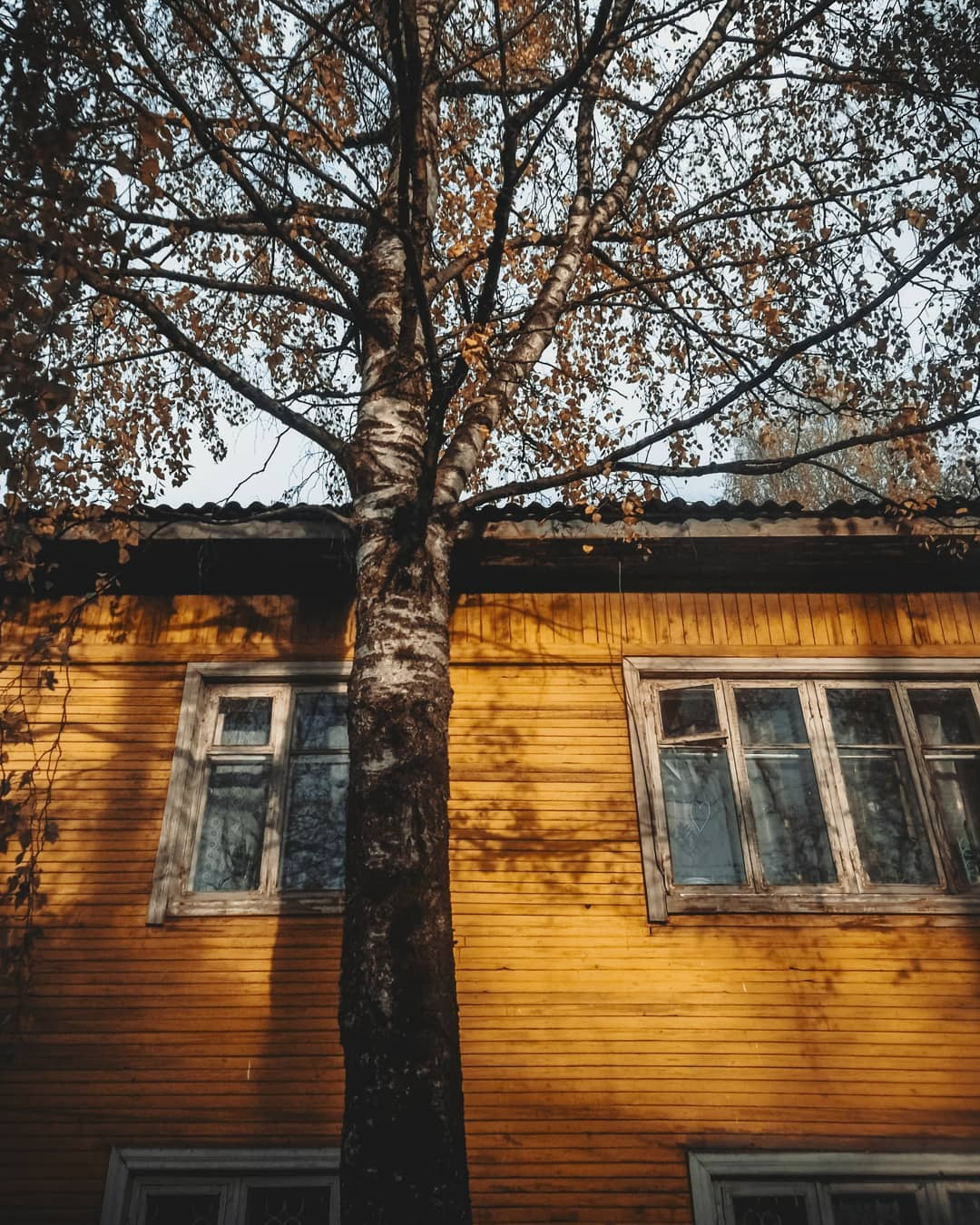 Фото дня в Сыктывкаре: дом, который преобразило солнце