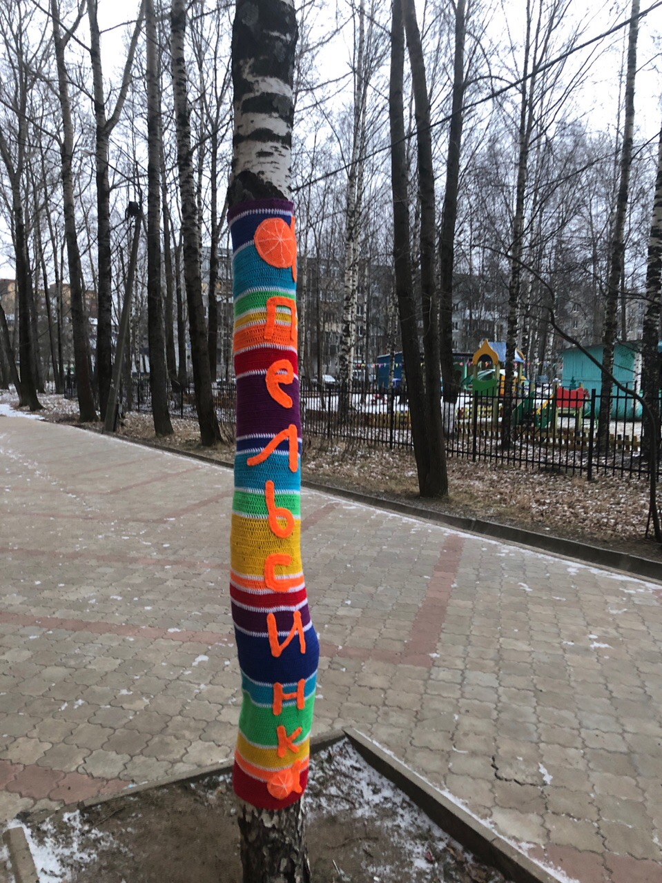 Фото дня в Сыктывкаре: дерево нарядили в цветной вязаный чулок