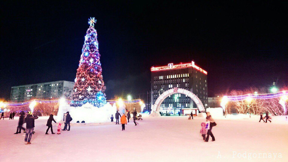 «Елка раздора»: в один из городов Коми привезли «не то» новогоднее дерево
