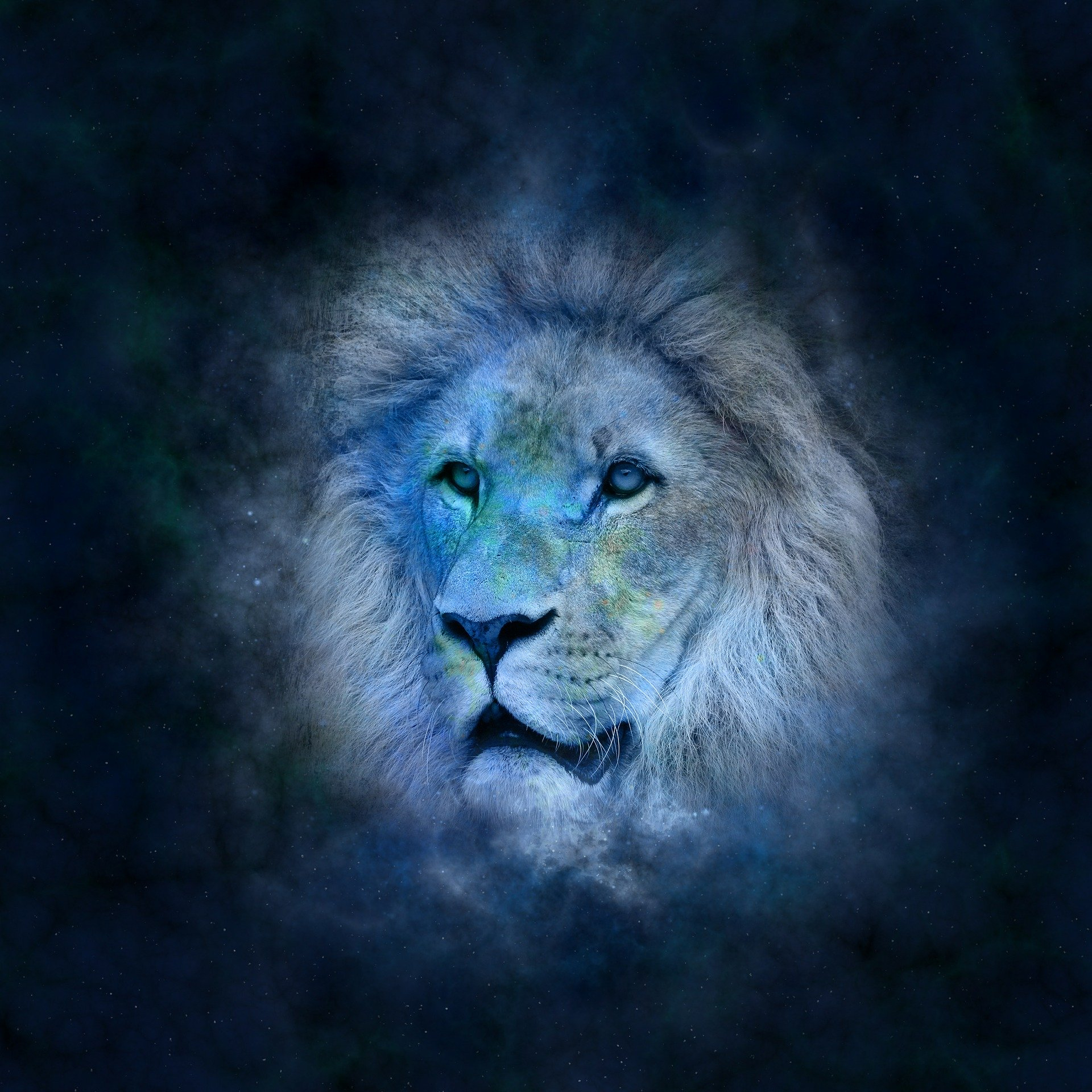 Гороскоп на 13 декабря: Львам стоит «уйти в тень», а Рыб ждет буря эмоций