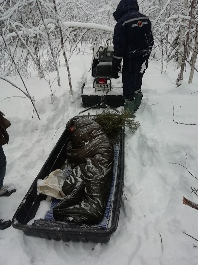 В лесу Коми нашли обмороженного мужчину в летней одежде