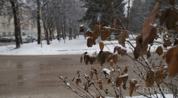 Погода в Сыктывкаре на 16 января: снег с дождем