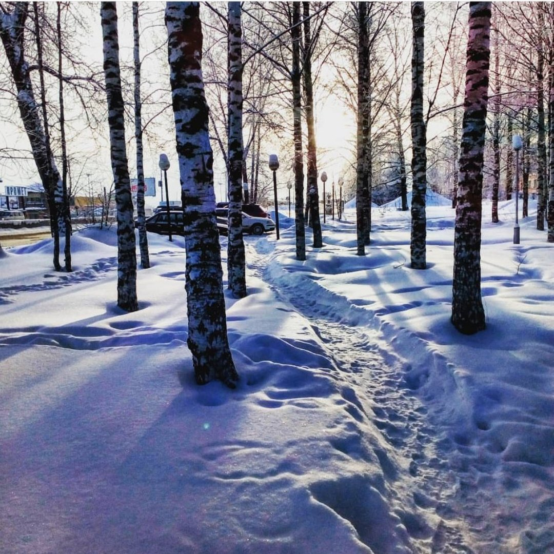 Фото дня в Сыктывкаре: морозная безмятежность