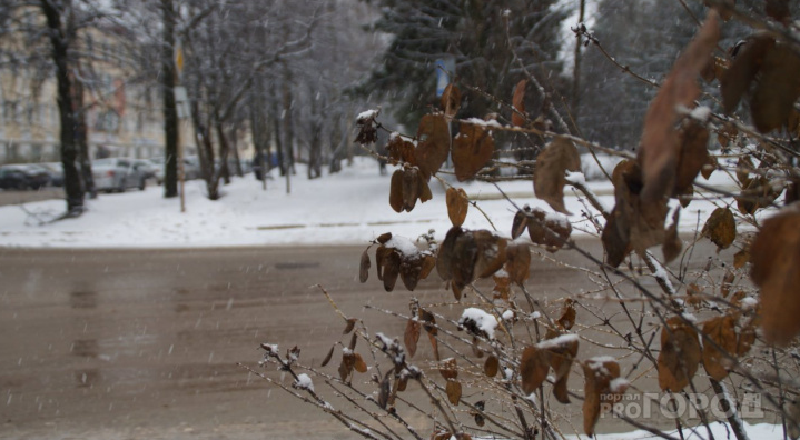 Погода в Сыктывкаре на 11 февраля: тепло, снег и порывистый ветер