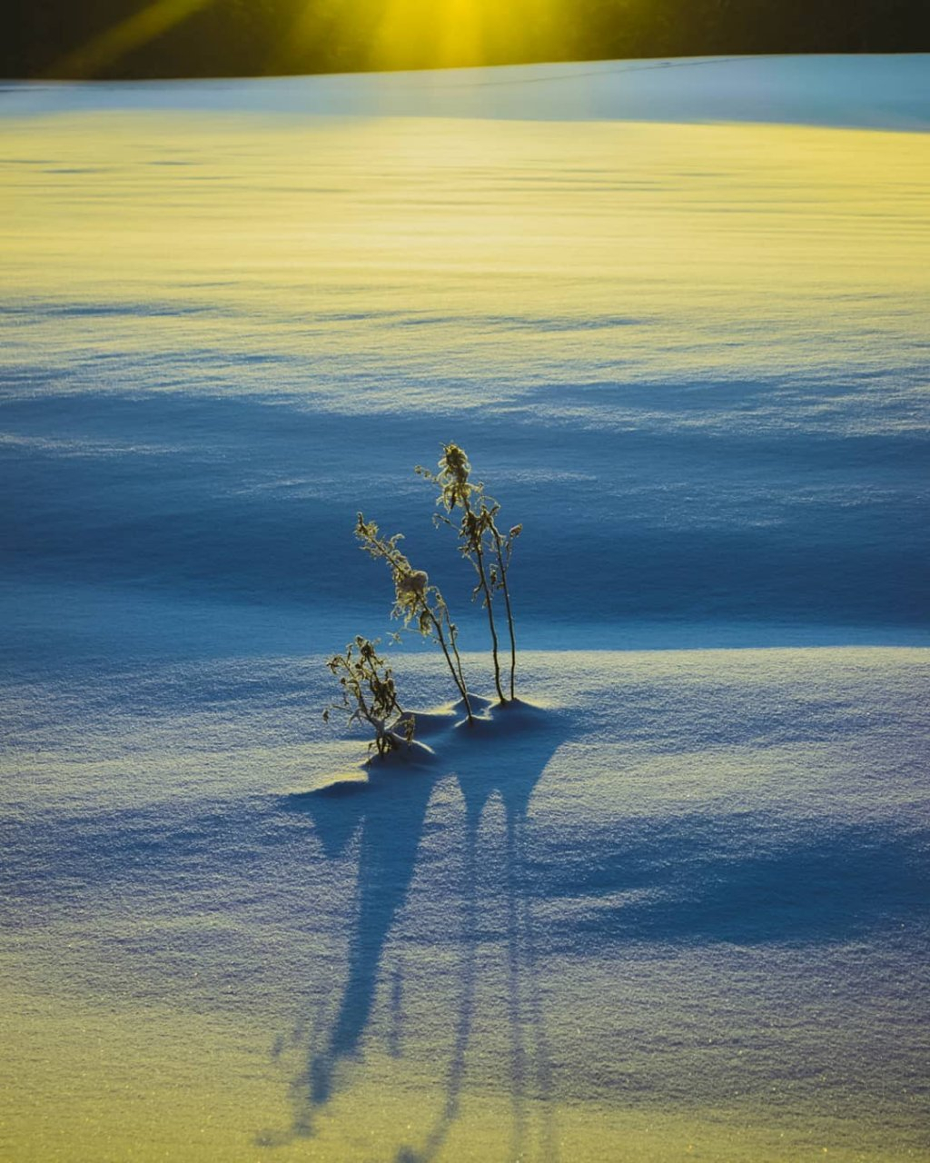 Фото дня от сыктывкарца: простой зимний пейзаж