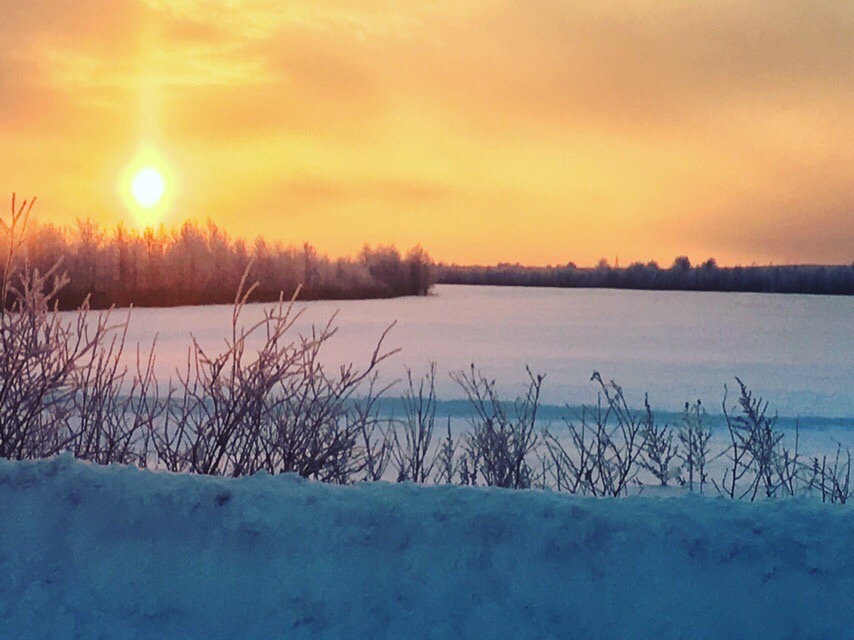 Фото дня в Сыктывкаре: природа ждет своего часа под снежным покрывалом