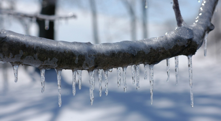 Погода в Сыктывкаре на 28 февраля: холодная ночь и теплый день