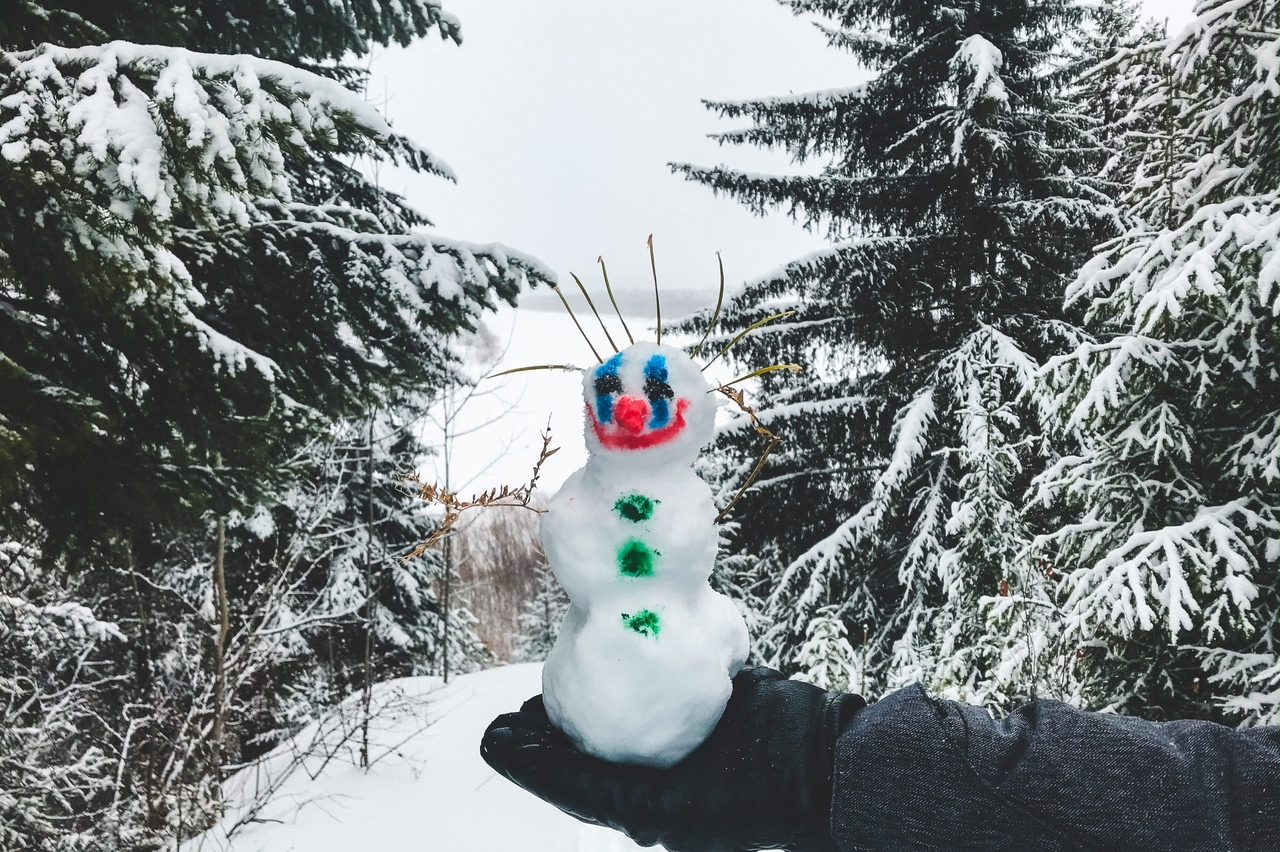 Фото дня под Сыктывкаром: последний снеговик