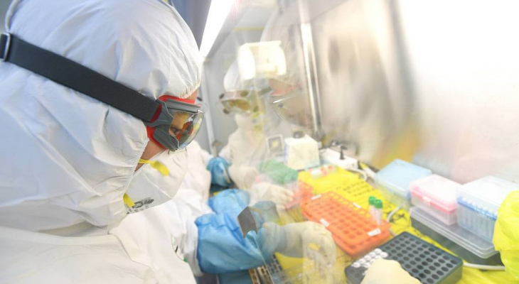 В Коми подтверждено еще 20 случаев заражения коронавирусом