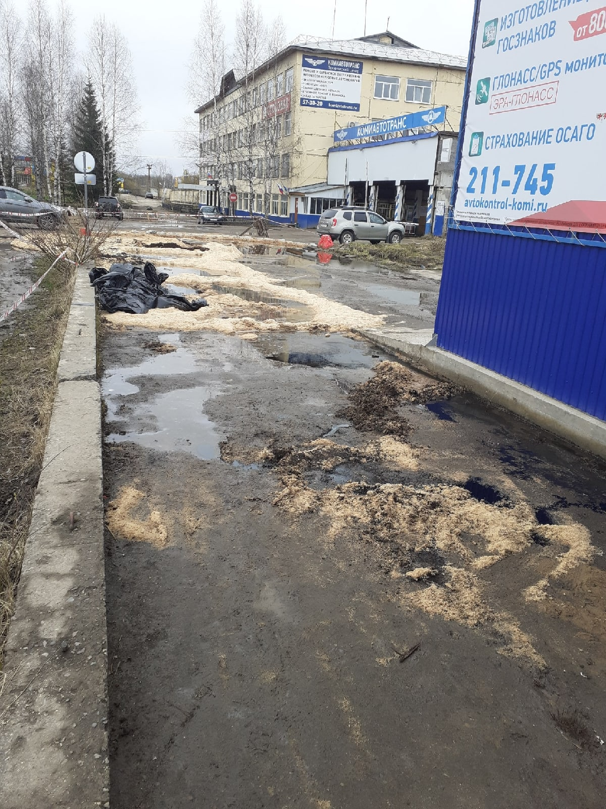 В Сыктывкаре заметили вытекающую из-под земли «нефть» (фото)