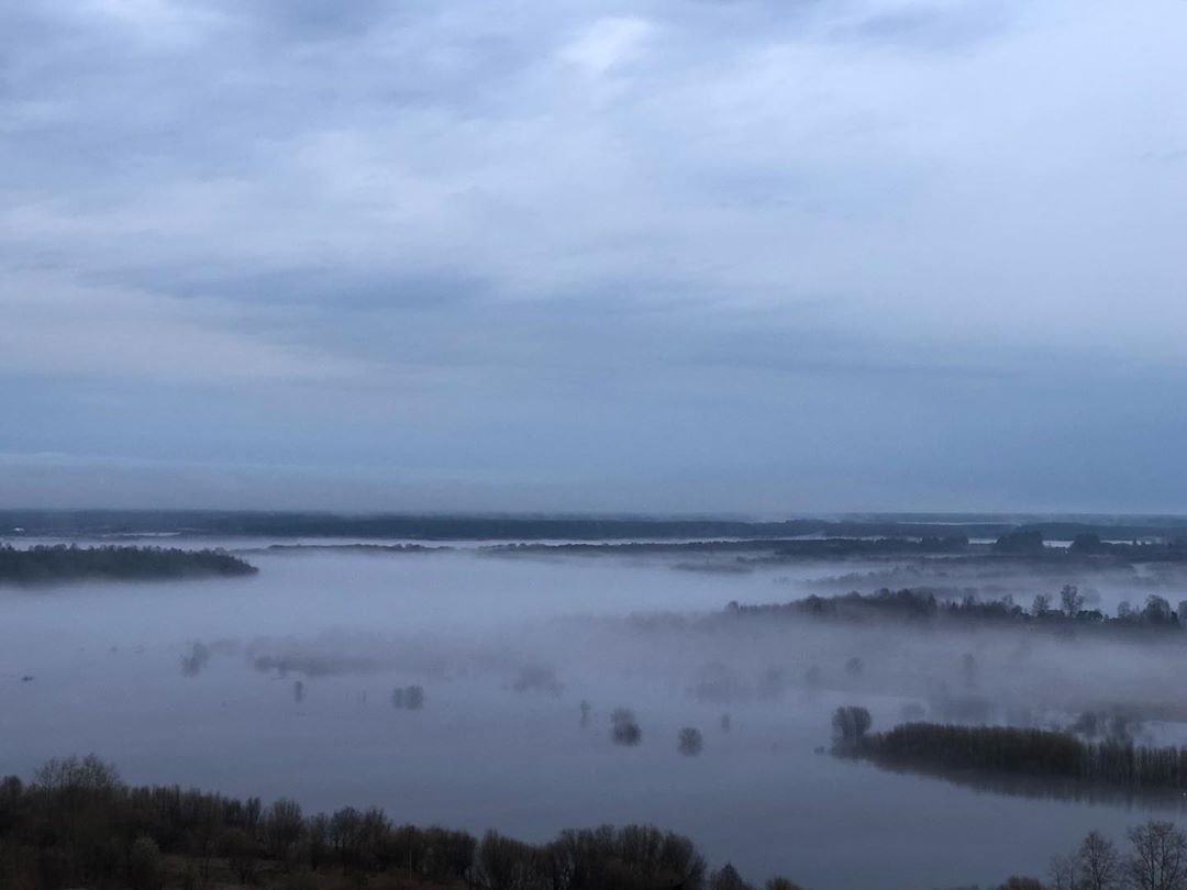 Фото дня в Сыктывкаре: бескрайнее море туманов