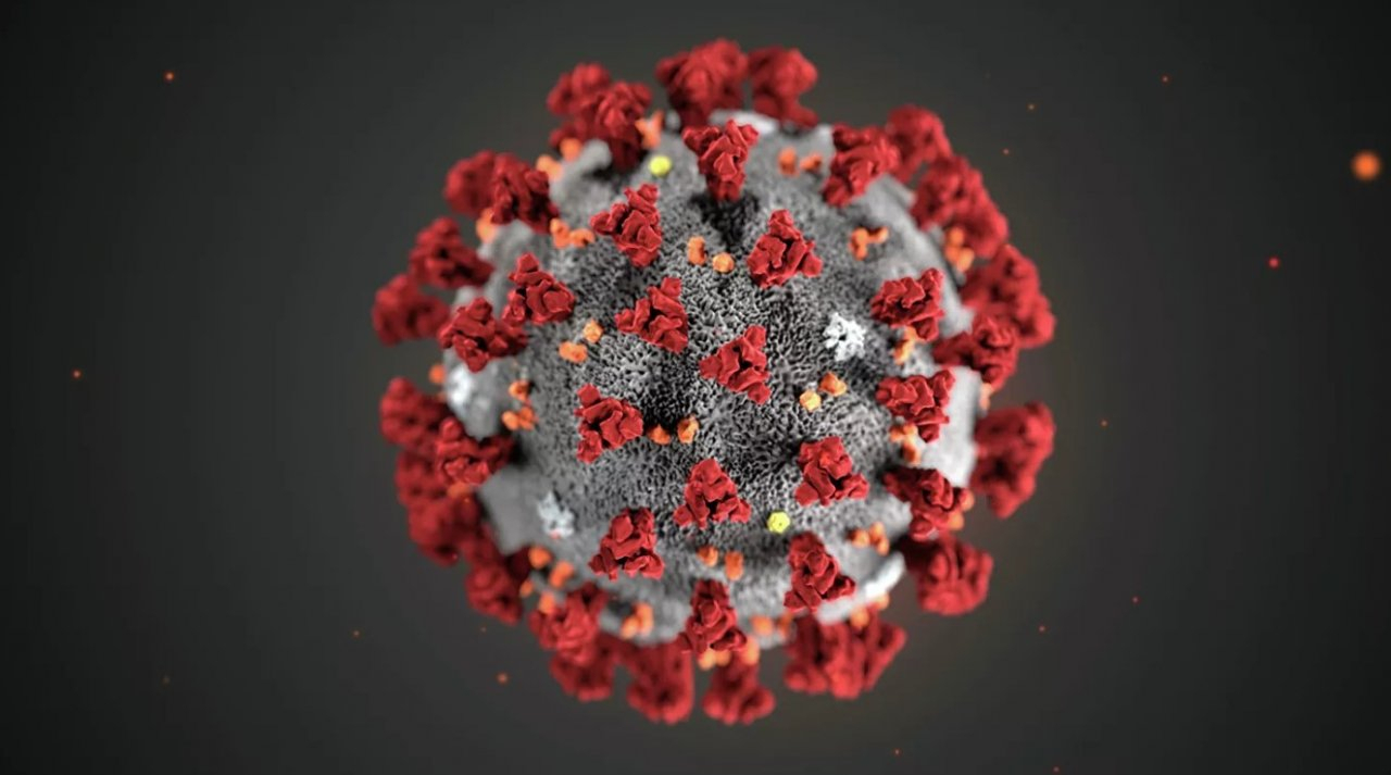 Ученые рассказали, как коронавирус влияет на мозг