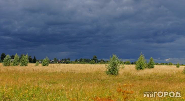 Погода в Сыктывкаре на 6 июня: гроза и жара