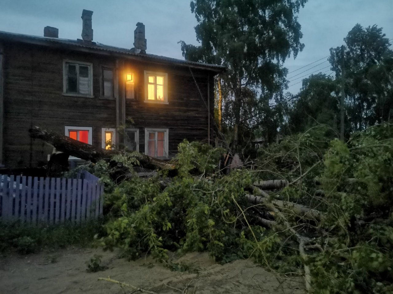 В Сыктывкаре ветер повалил тополь на провода у жилого дома (фото)