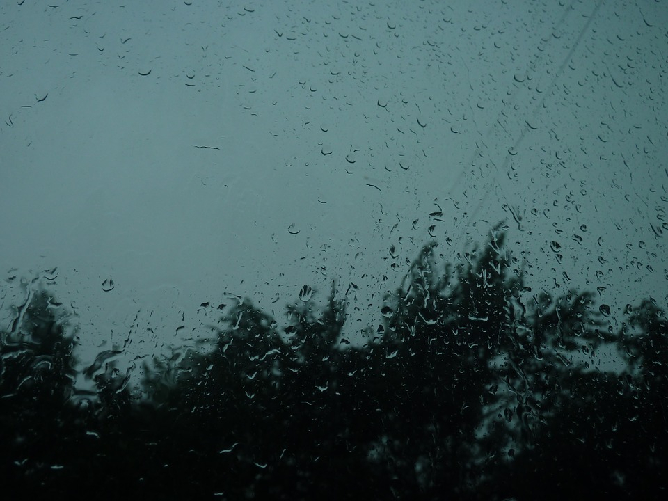 Погода в Сыктывкаре на 27 июня: дожди и северо-западный ветер