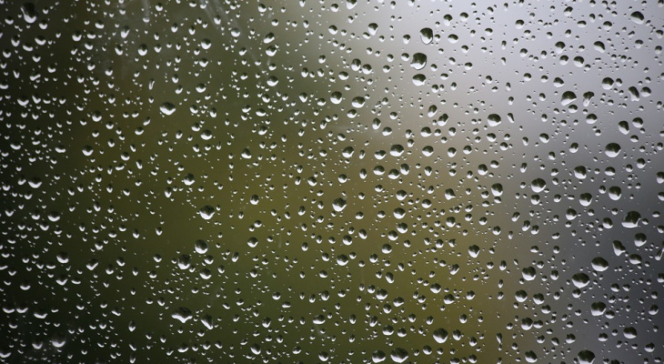 Погода в Сыктывкаре на 11 июля: в городе пройдут дожди