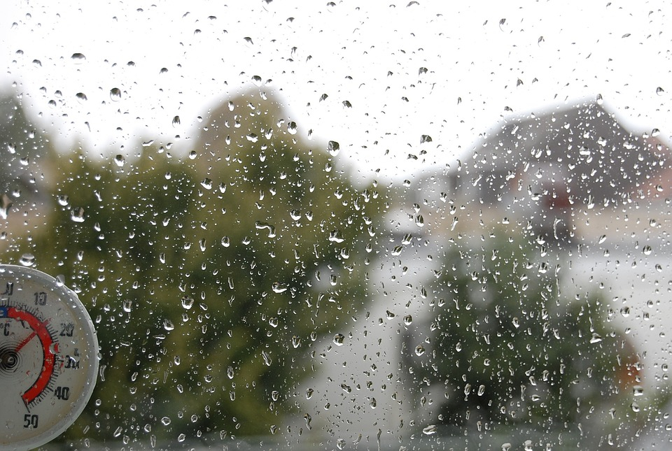 Погода в Сыктывкаре на 30 июля: дождь с грозой и похолодание