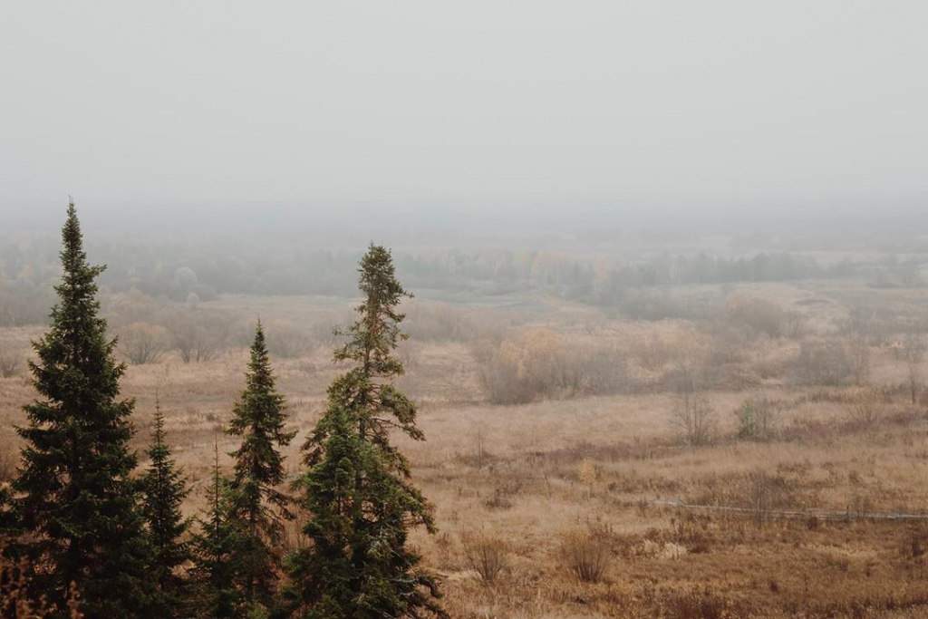 Погода в Сыктывкаре на 3 августа: город накроет туман