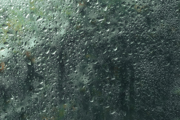 Погода в Сыктывкаре на 21 сентября: ветер и дождь