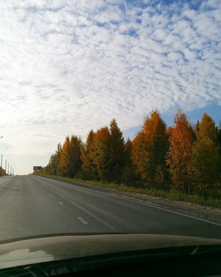 Фото дня в Сыктывкаре: по дороге на работу осенним утром