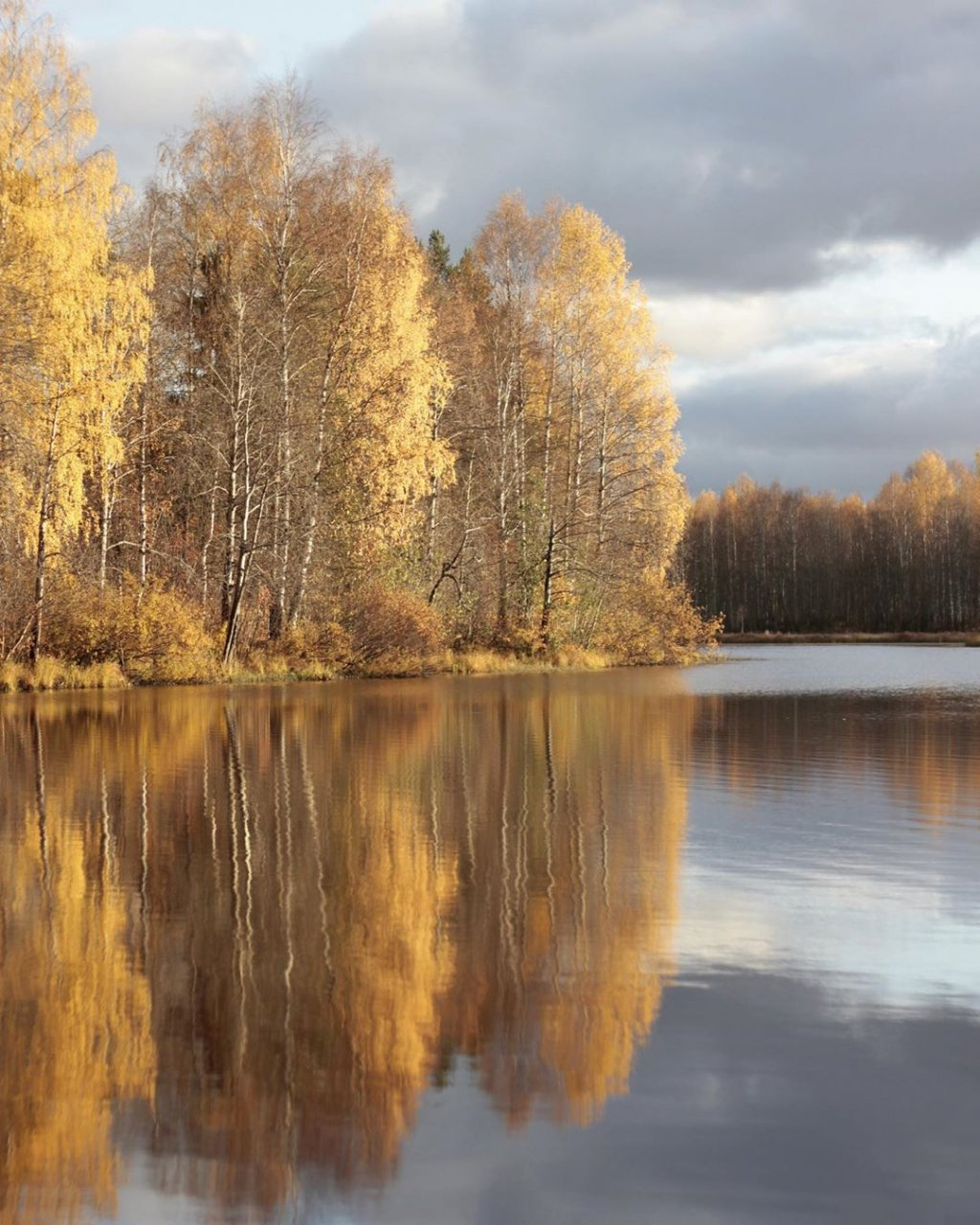 Фото дня в Сыктывкаре: осенний пейзаж над водной гладью