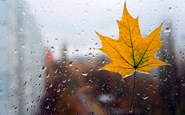 Погода в Сыктывкаре на 7 октября: пасмурно и прохладно