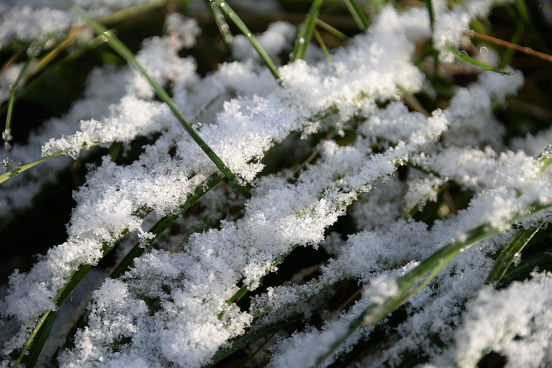 Погода в Сыктывкаре на 18 октября: мокрый снег и легкий морозец