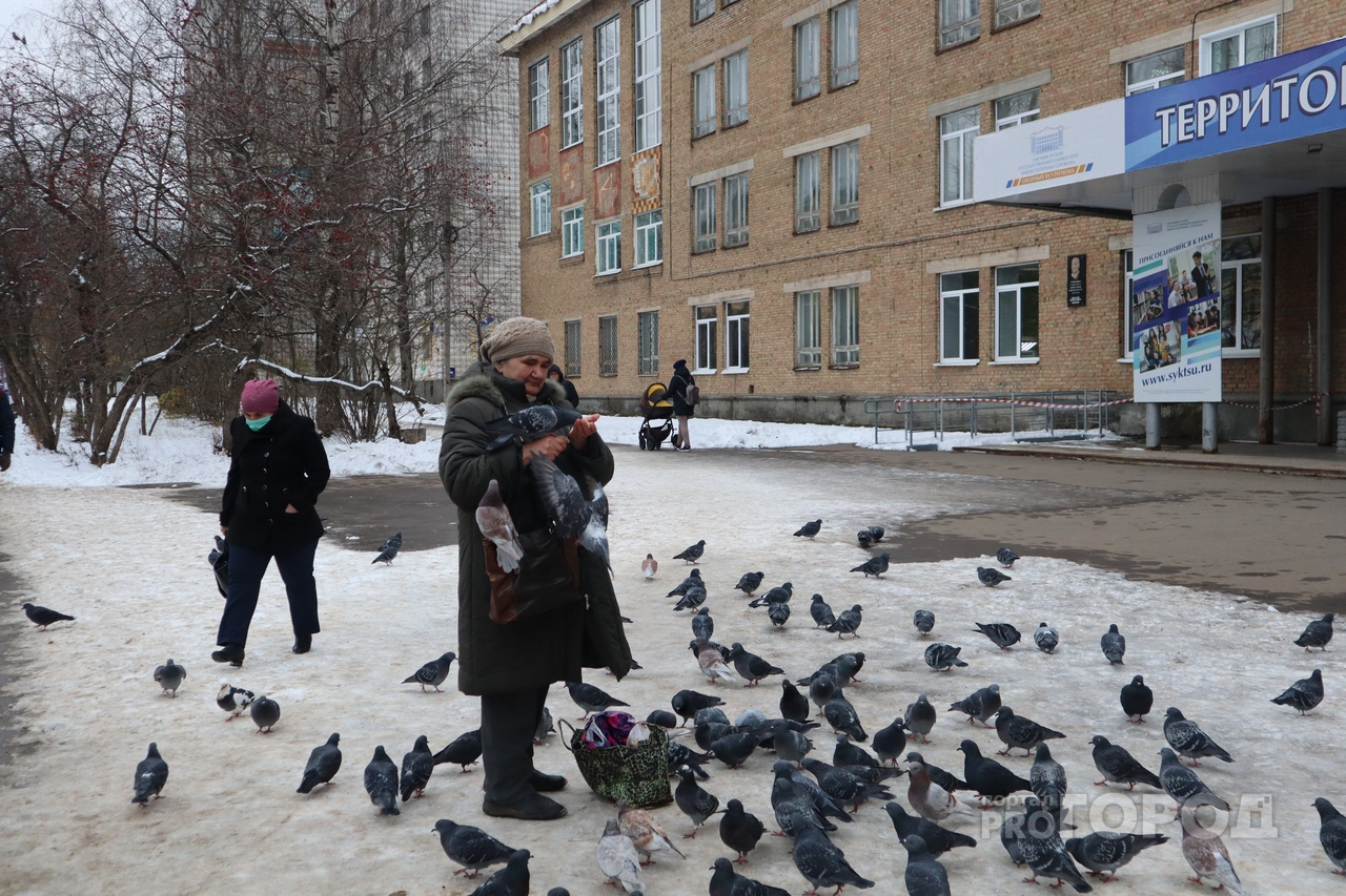 Фото дня в Сыктывкаре: повелительница голубей
