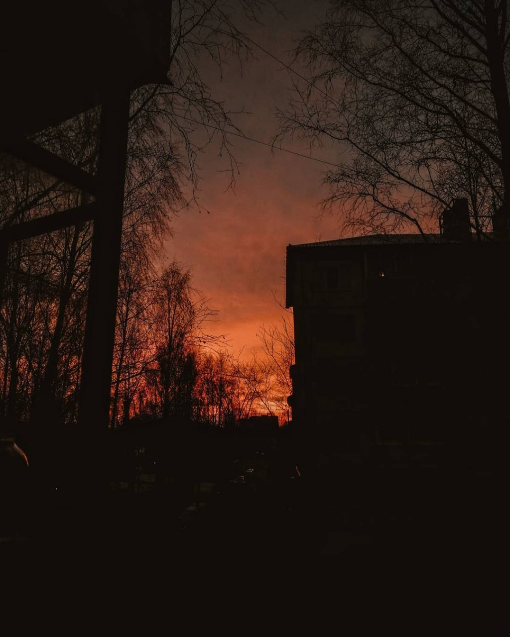 Фото дня в Сыктывкаре: загадочный ноябрьский закат