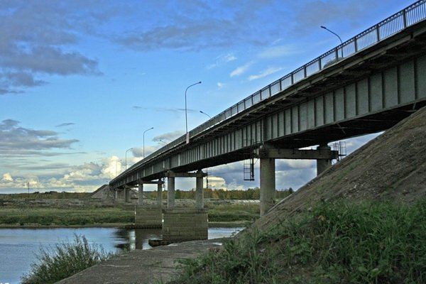 В Сыктывкаре спасли парня, который упал с моста в реку