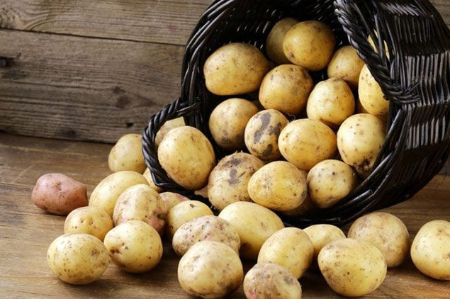 Названы самые опасные способы употребления картофеля