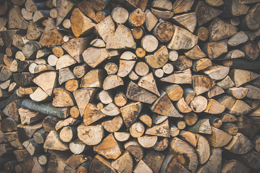 В Коми подешевели дрова для населения