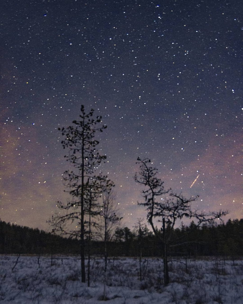Фото дня от сыктывкарца: зимняя звездная ночь