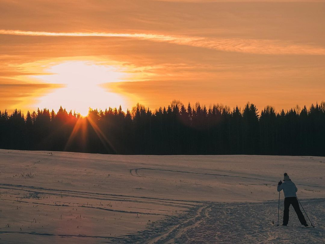 Фото дня от сыктывкарца: одинокий лыжник в зимний солнечный день