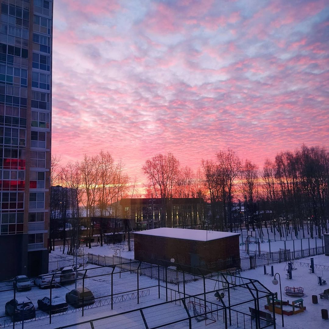 Фото дня в Сыктывкаре: нежные краски морозного рассвета