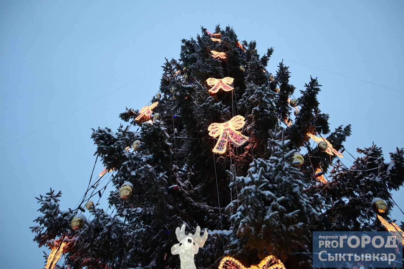 Дотянуться до небес: сыктывкарская новогодняя елка попала в топ 10 самых высоких в России