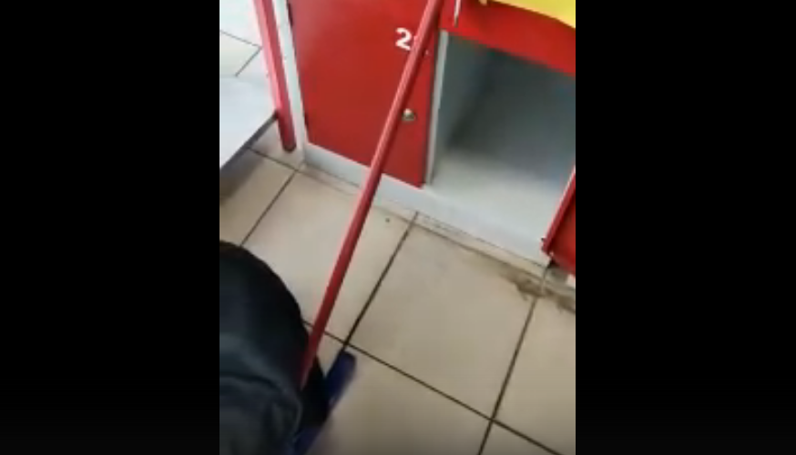 Сыктывкарка пошла в магазин из закрыла в сейфе для хранения сумок свою собаку (видео)
