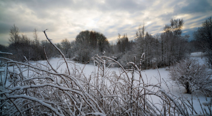 Погода в Сыктывкаре на 25 января: снег, дождь и «плюс» на термометре