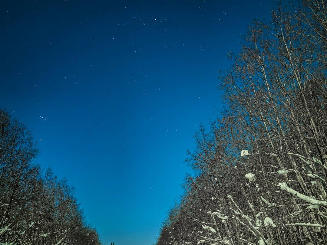 Фото дня в Сыктывкаре: необычный взгляд или белые ночи зимой