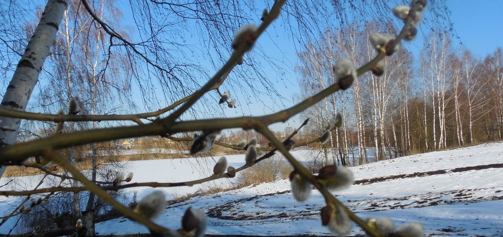Погода в Сыктывкаре на 6 марта: снова морозы