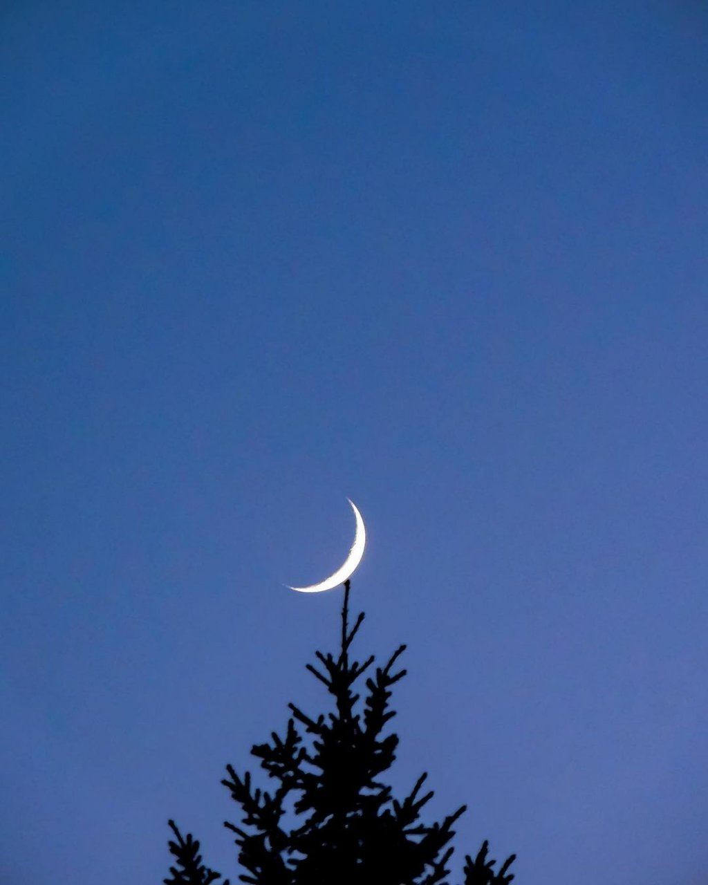 Фото дня в Сыктывкаре: на этой стороне луны