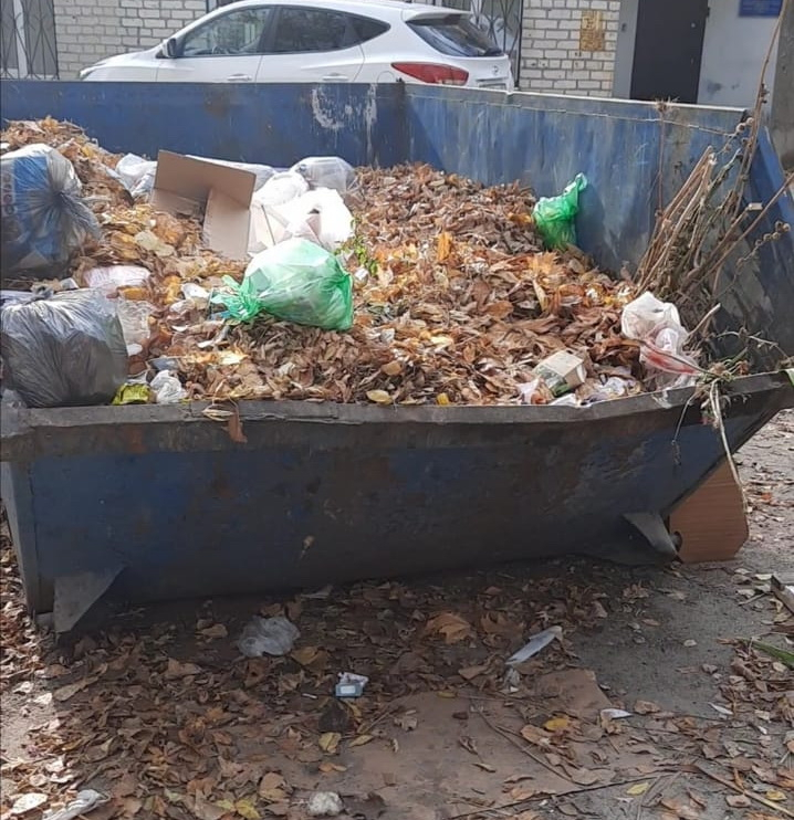 «Им там не место!»: специалисты напомнили жителям Коми, что нельзя выкидывать в мусорные контейнеры
