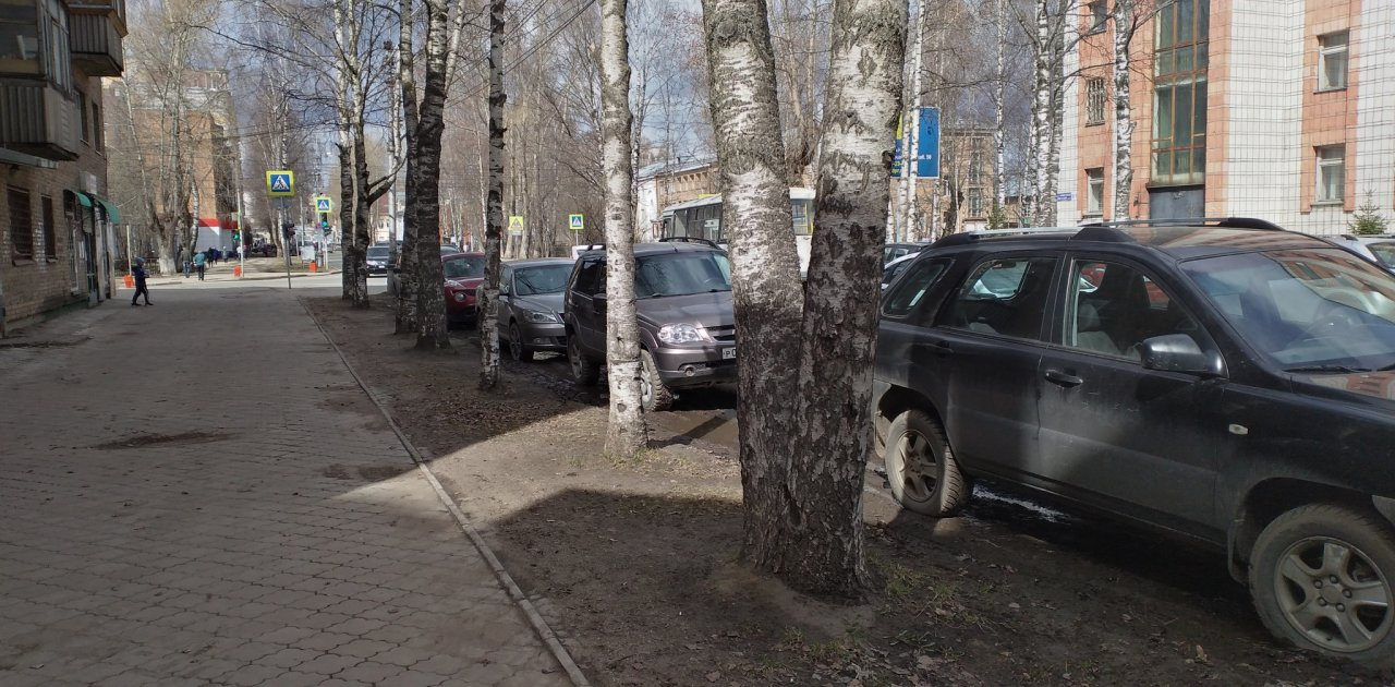«При заезде на тротуар водитель может сбить пешехода»: сыктывкарские урбанисты стараются спасти газоны от машин