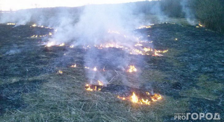 В Коми объявили максимальный уровень пожароопасности