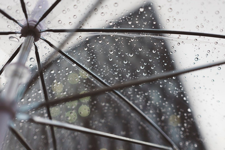 Погода в Сыктывкаре на 26 мая: дожди и холода