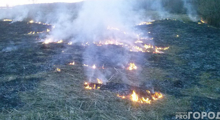 В одном из районов Коми сохраняется максимальная пожароопасность