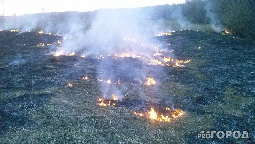МЧС предупреждает: на всей территории Коми объявили режим чрезвычайно высокой пожароопасности