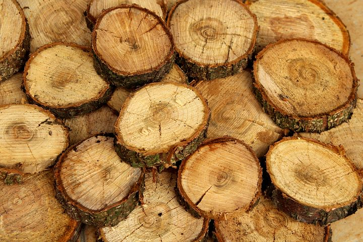 Наломал дров: житель Коми вырубил деревьев на 3,1 миллиона рублей и два года колонии